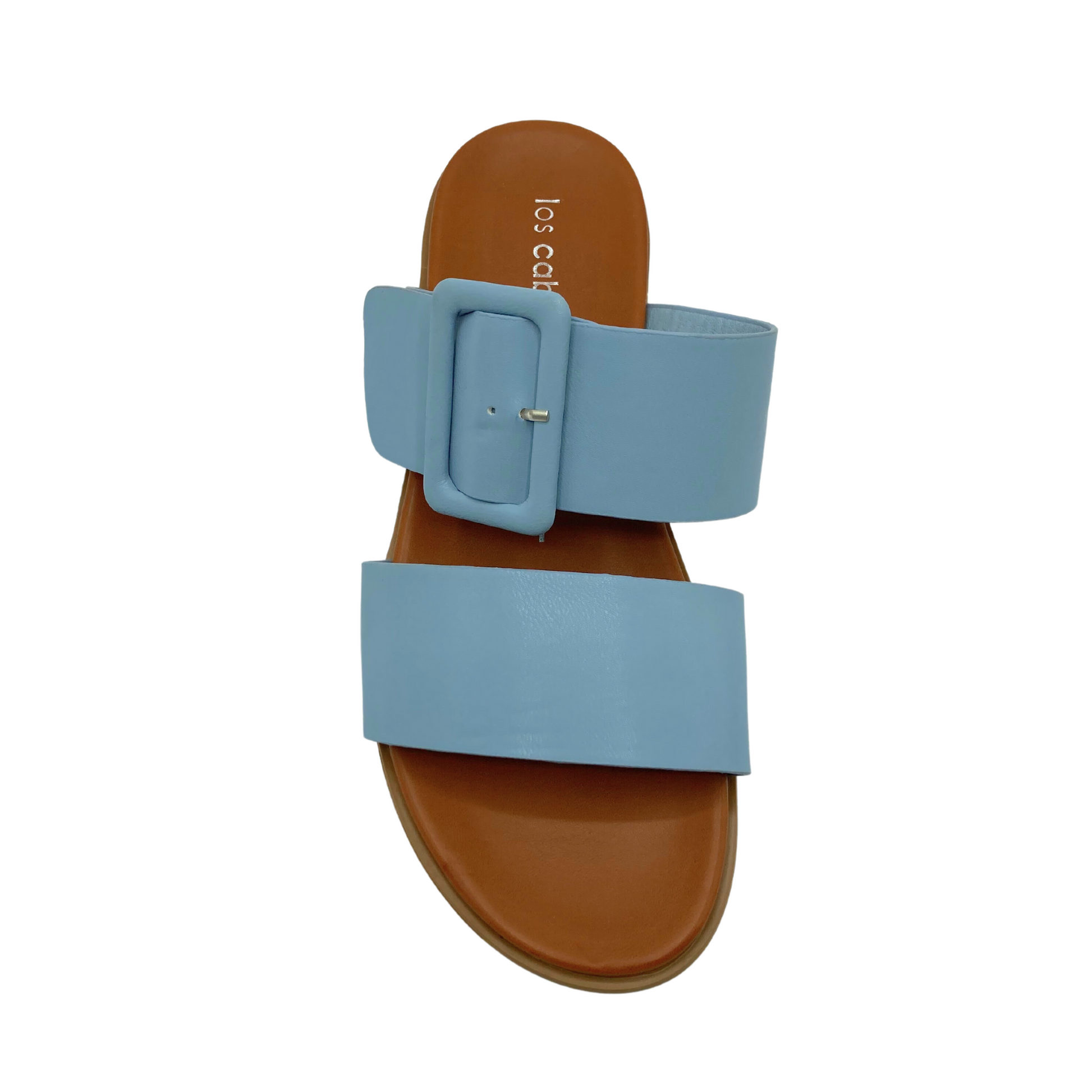 Top down view of a sandal with open toe and heel.  Two wide straps - one at forefoot and one over top with adjustable coordinating buckle