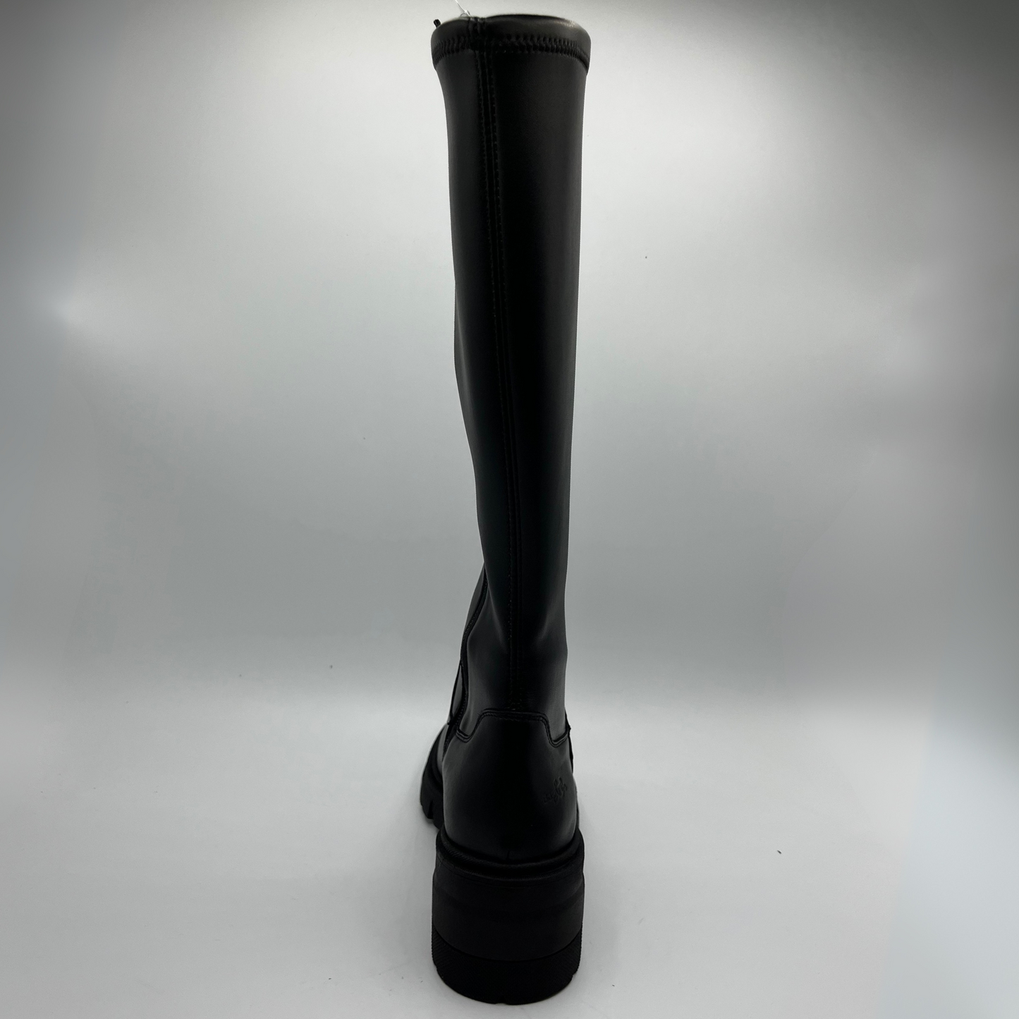 Black knee-high boot on a white background
