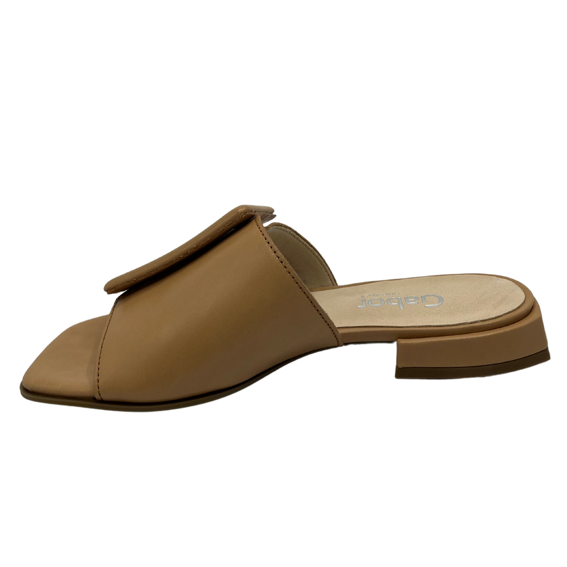 Left facing view of brown leather slip on sandals with a low wrapped heel and an oversized buckle detail on strap