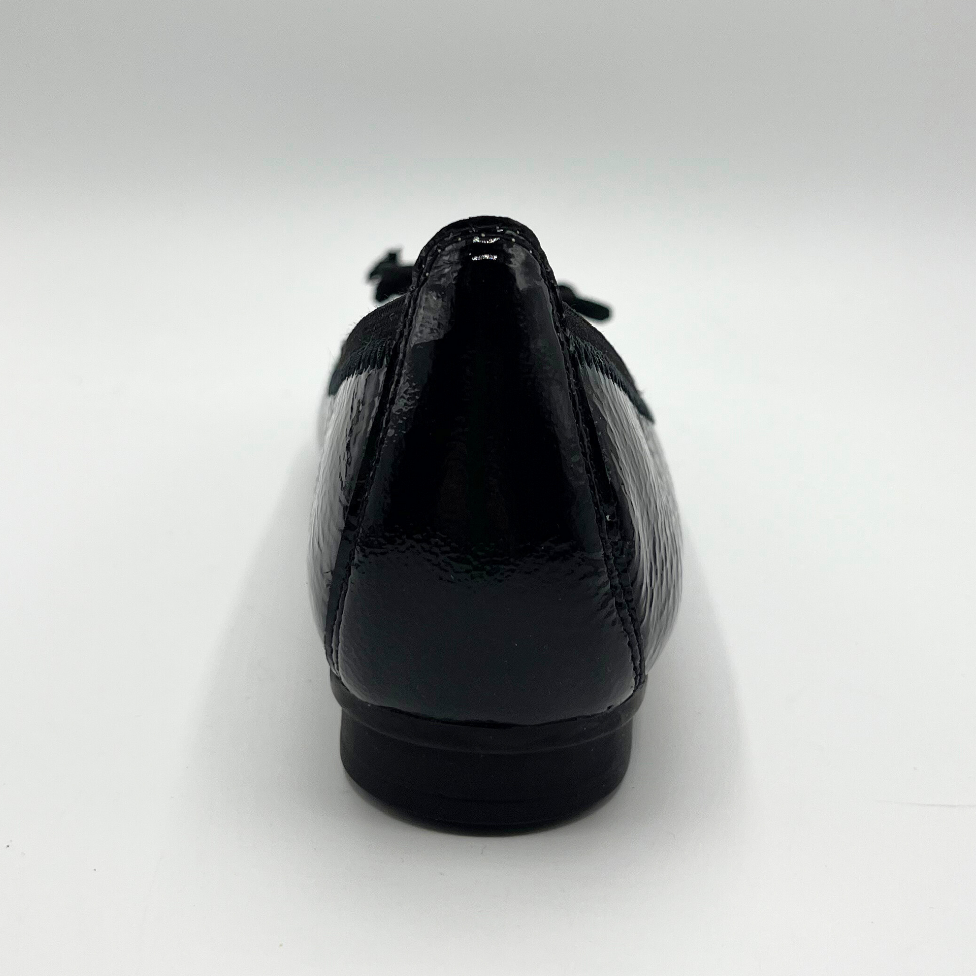 Black shoe on a white background