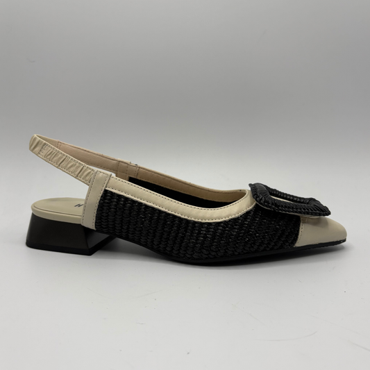 Black and beige shoe on a white background