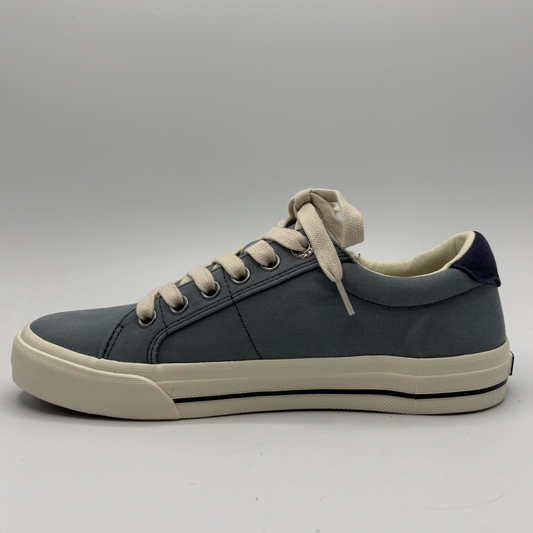 Gray sneaker with beige laces on a gray background