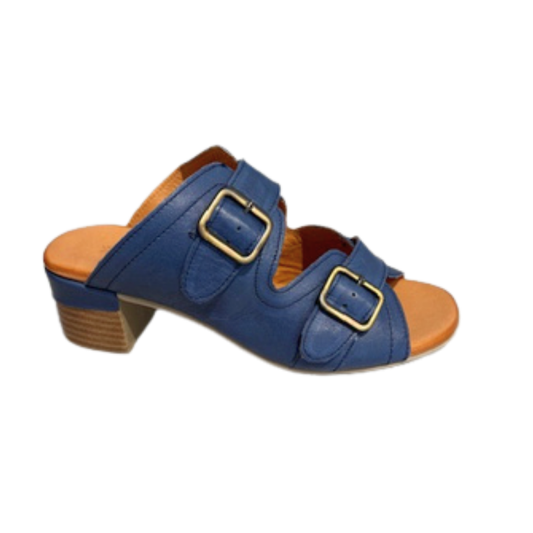 Blue sandal with gold buckles on a white background