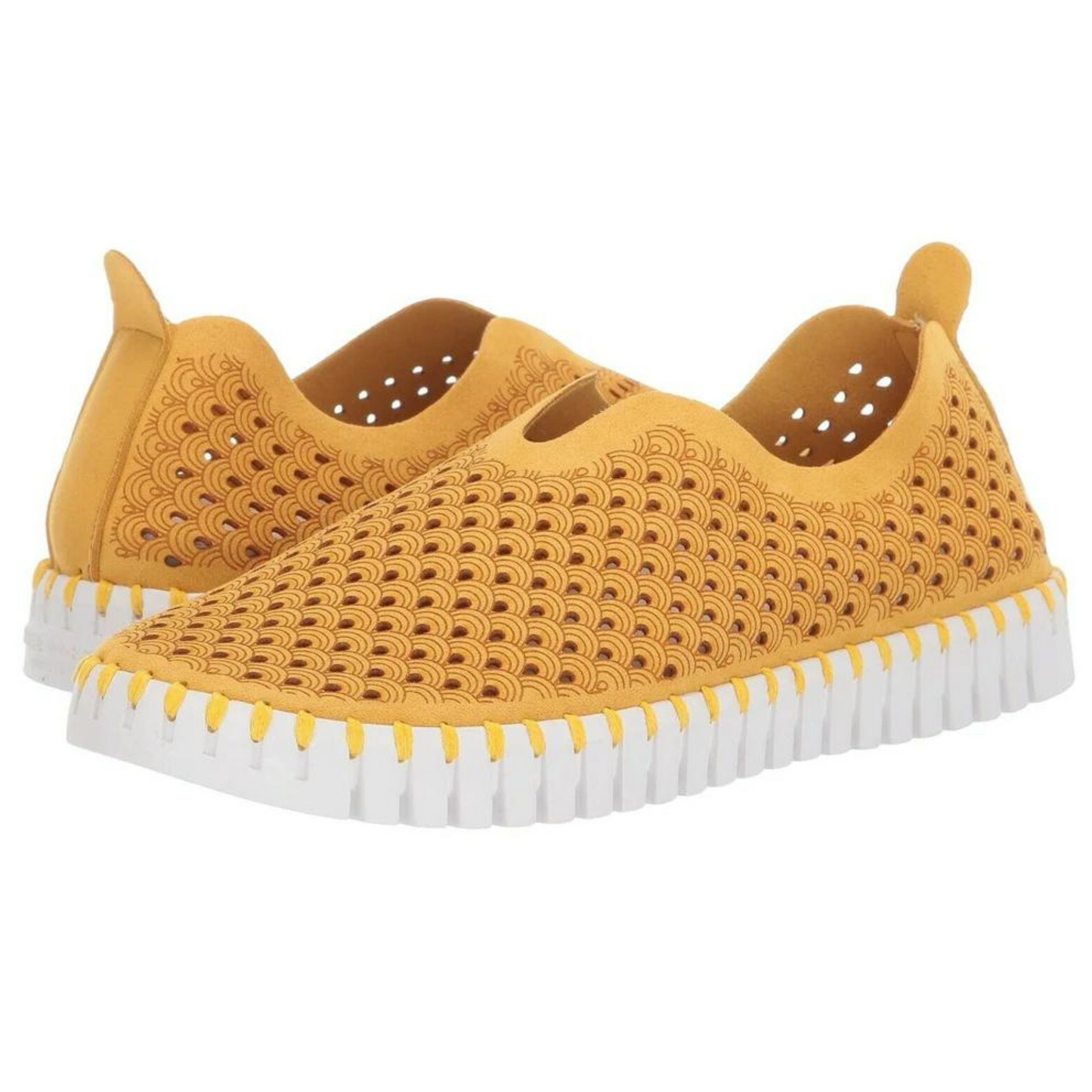 Tulip 139 shoe in the colour golden rod.