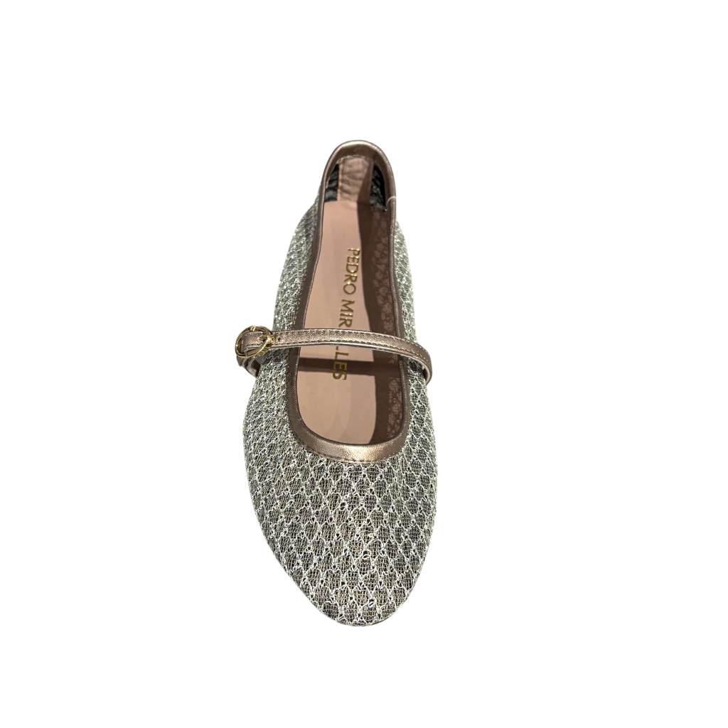 Silver mesh flat shoe on a white background