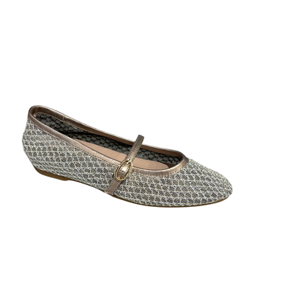 Silver glittery flat shoe with a strap on a white background