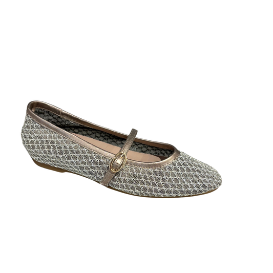 Silver glittery flat shoe with a strap on a white background
