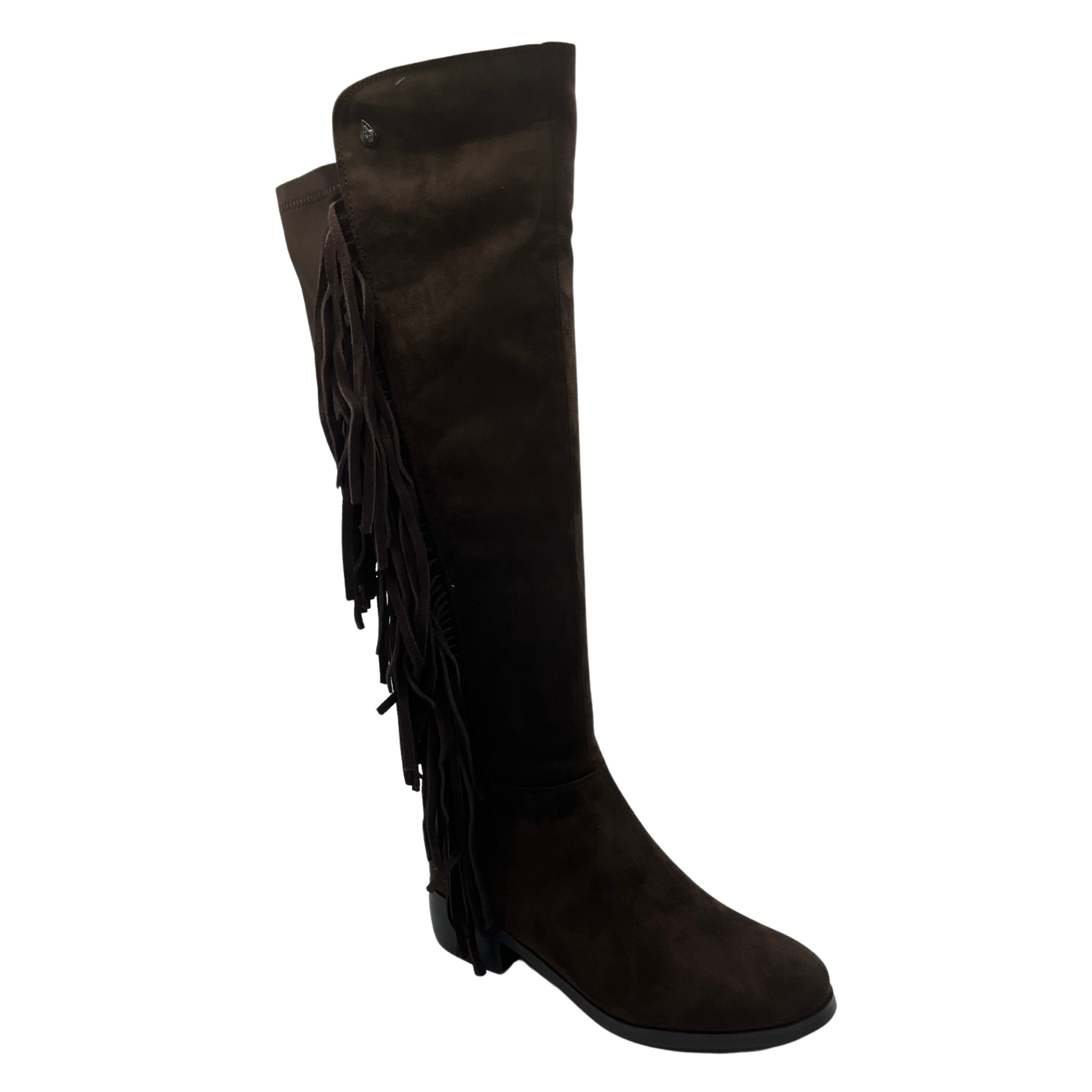 45 degree angled view of brown vegan suede tall boot. Side zipper closure, fringe detail and short block heel.