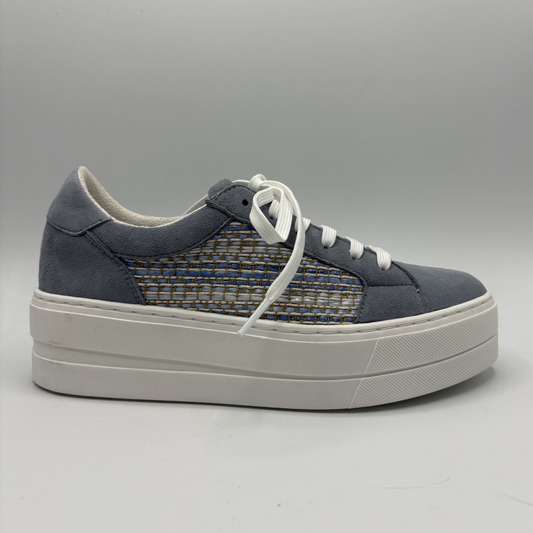 Navy blue sneaker with white laces on a gray background