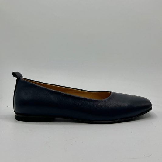 Navy flat shoe on a white background