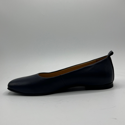 Navy flat shoe on a white background