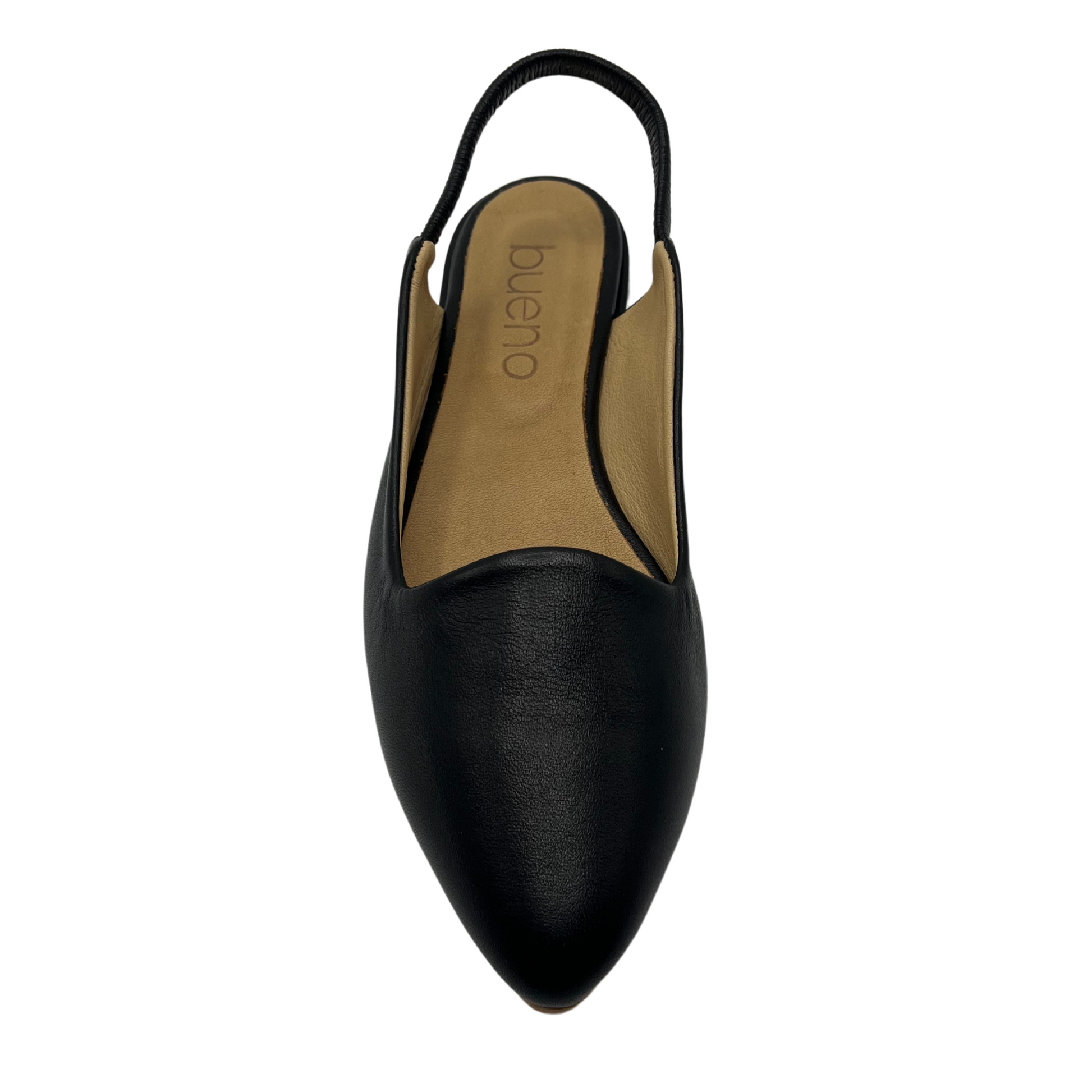 Top view of black leather flat with pointed toe and slingback strap