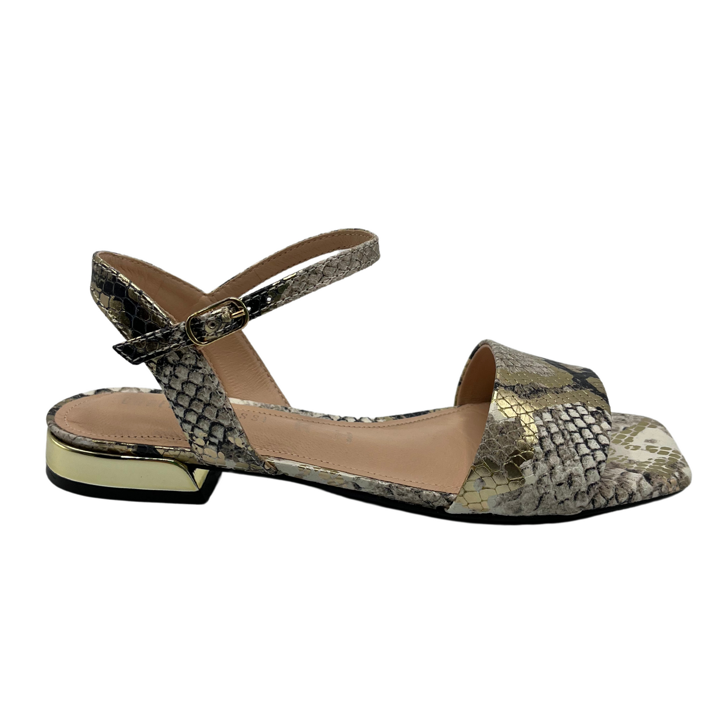 Right facing view of flat snake skin design leather sandal with square toe and gold detail on heel