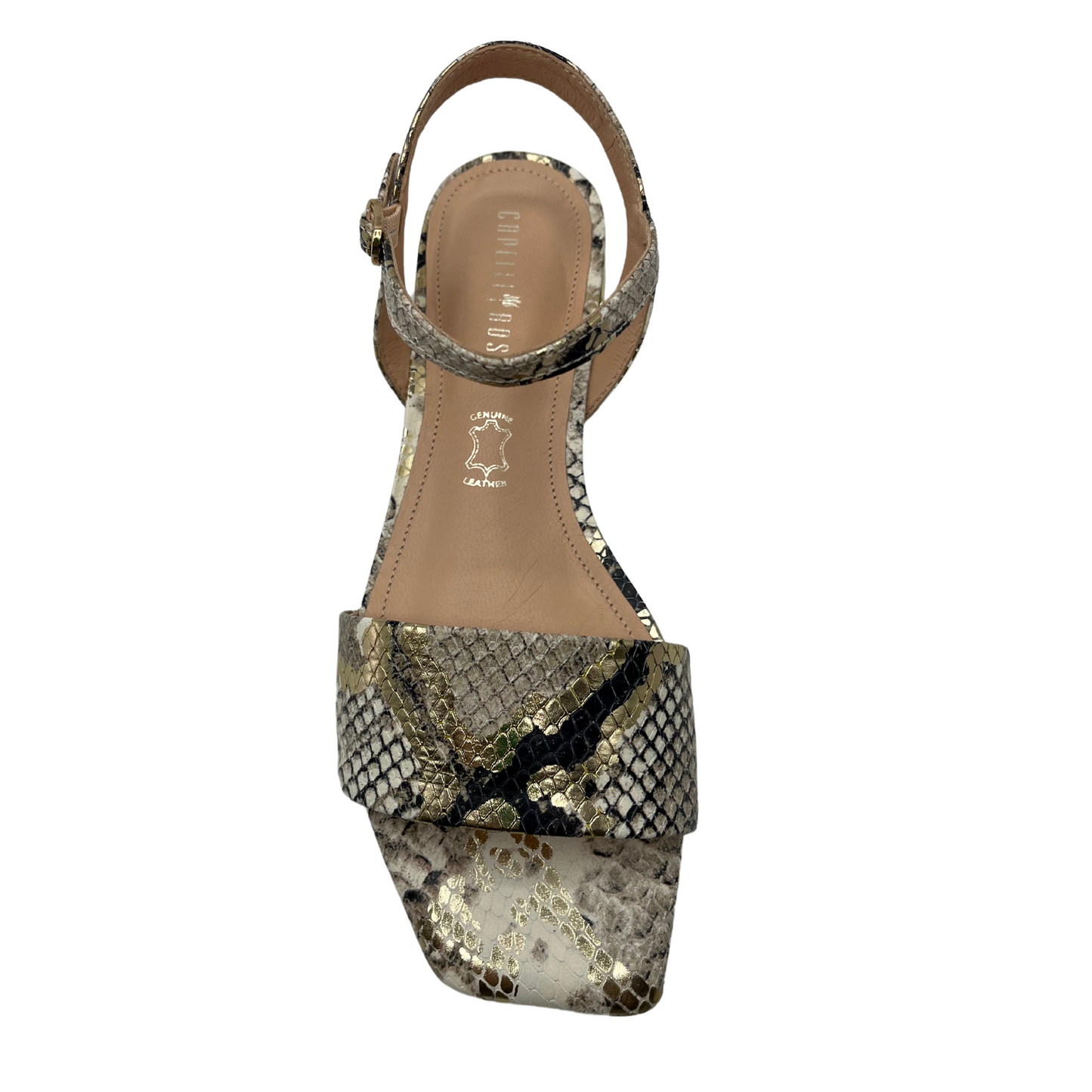 Top view of flat snake skin design leather sandal with square toe and gold detail on heel