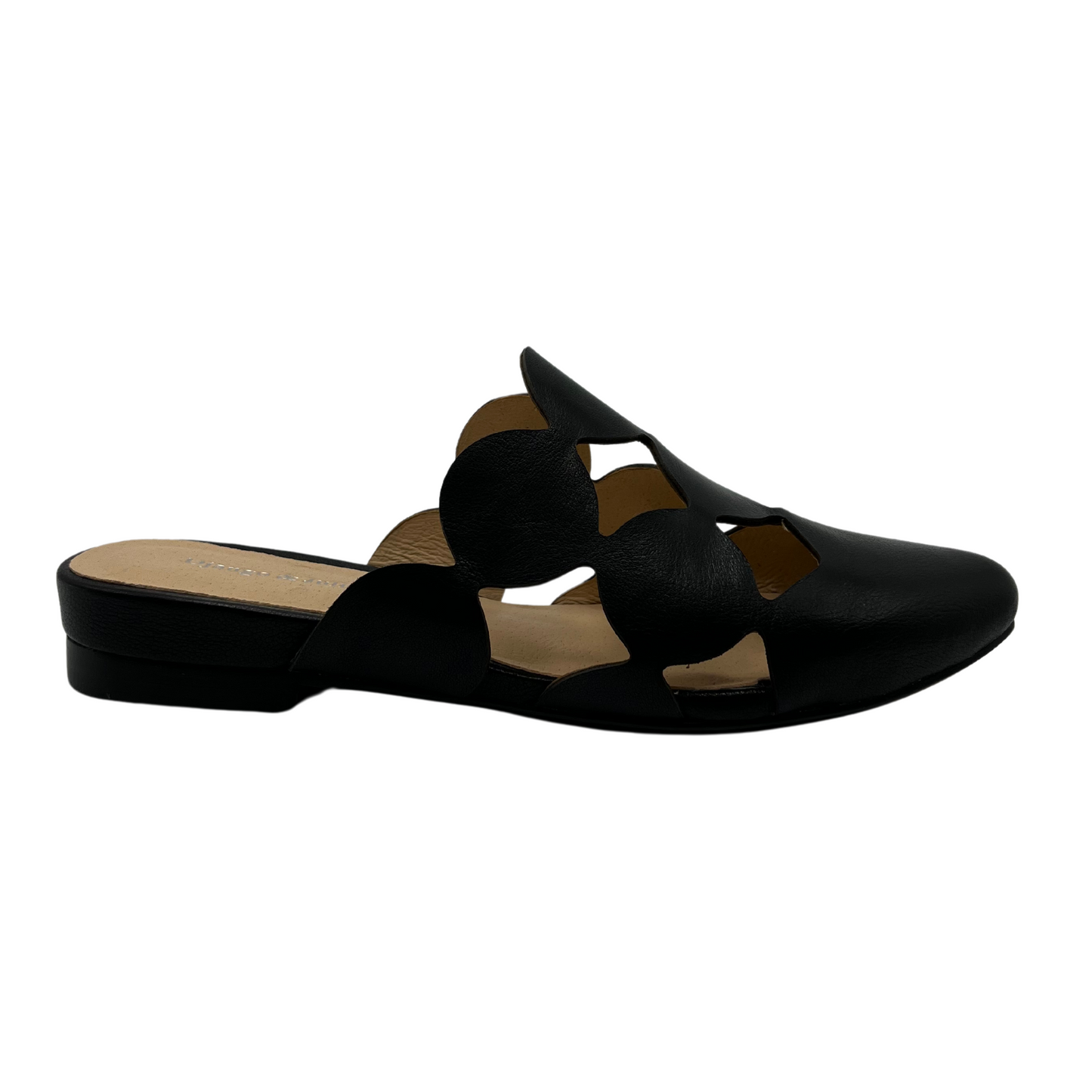 Right facing view of black leather slip on mule with pointed toe and 1 inch heel. Featuring circular cutouts on upper