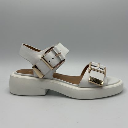 White sandal with gold buckles on a gray background