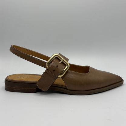 Brown leather shoe with a gold buckle on a white background