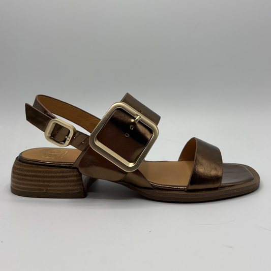 Brown sandals with gold buckles on a white background