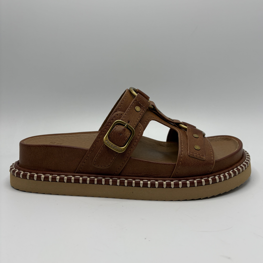 Brown sandal with a strap and buckle on a white background