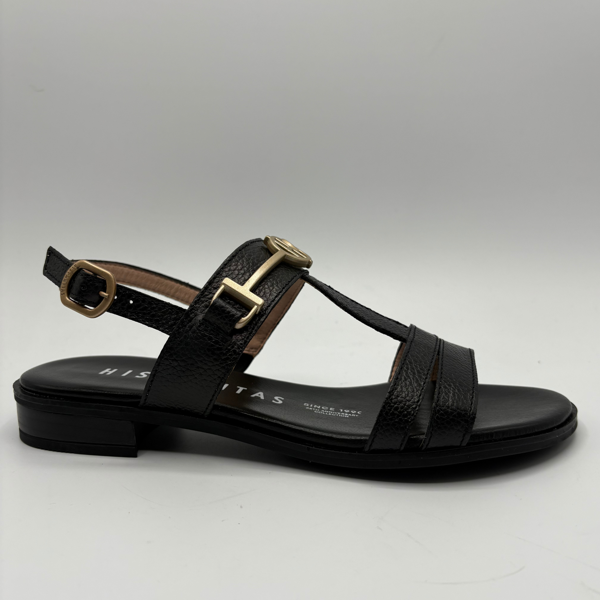 Black sandal with gold buckle on a gray background