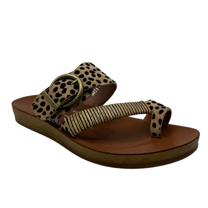 45 degree angled view of cheetah print leather sandal with gold buckle and brown insole