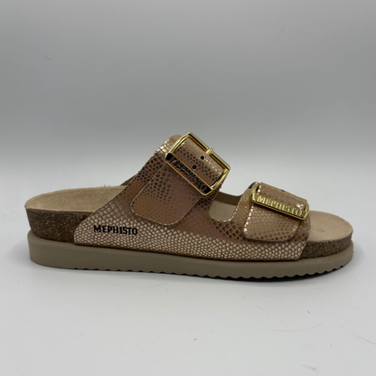 Brown sandal with gold buckle on a gray background