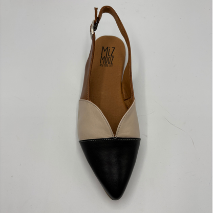 Top view of a pointy toe flat shoe with a sling back strap