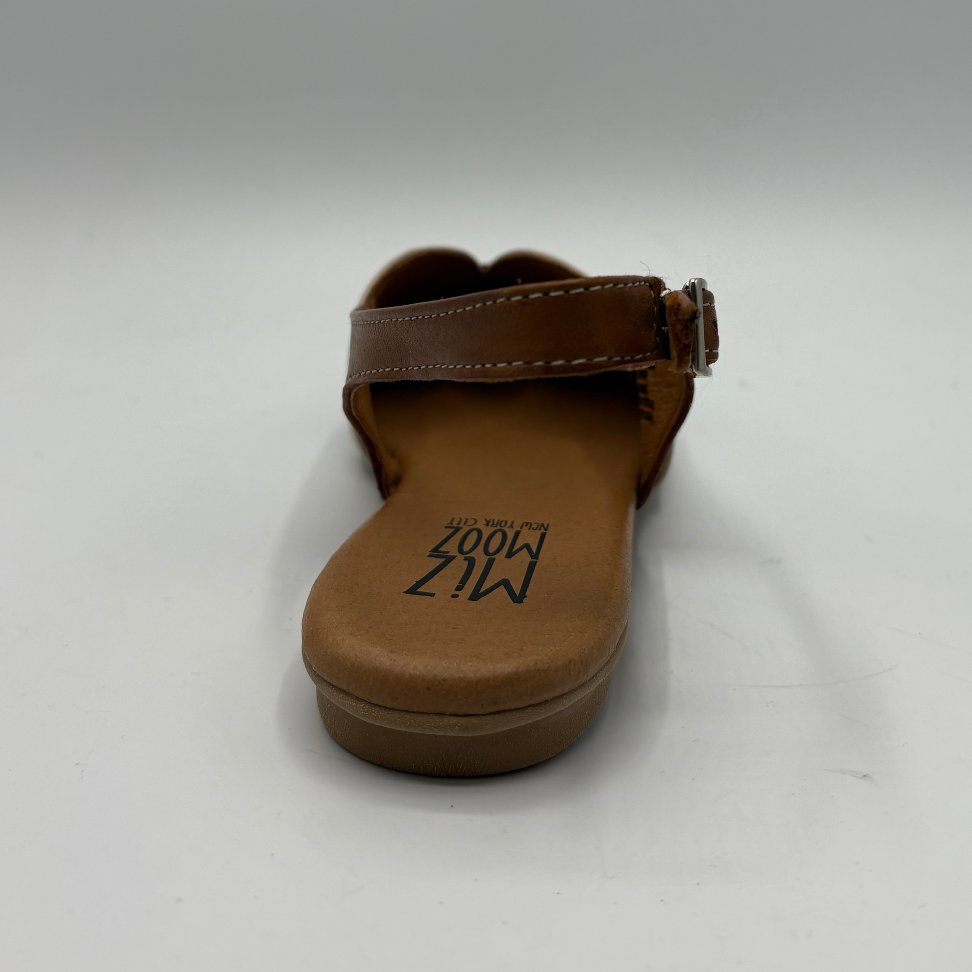 Back view of a pointy toe flat shoe with a sling back strap