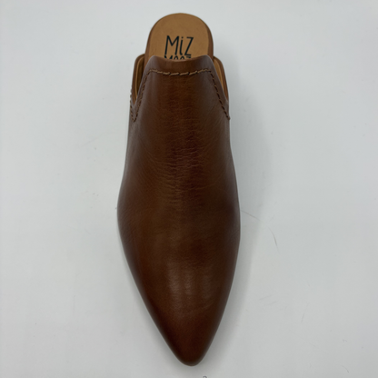 Brown leather shoe with pointed toe on a white background