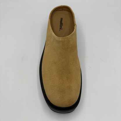 A single tan suede slip-on mule shoe with a black sole, photographed from a top-down perspective on a light gray background. The brand name 'mollini.