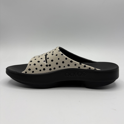 Black and beige polka dot sandal on a white background