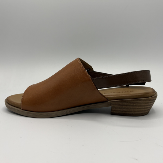 Brown sandal on a white background
