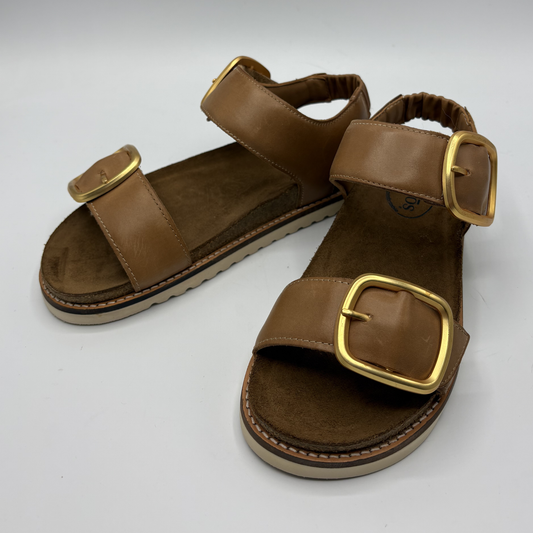 Brown sandals with gold buckles on a white background