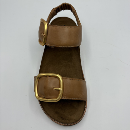 Brown sandal with gold buckle on a light gray background