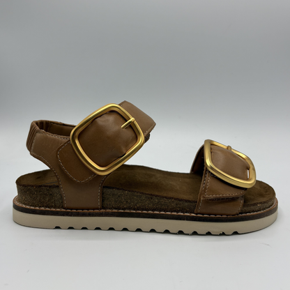 Brown sandal with gold buckles on a white background