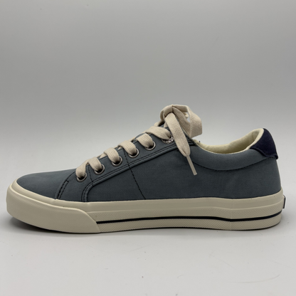 Gray sneaker with beige laces on a gray background