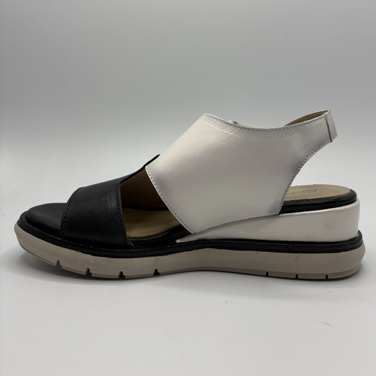 White and black sandal on a gray background