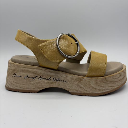 Brown sandal with wooden sole on a white background