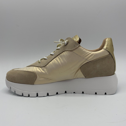 Beige sneaker with gold accents on a gray background