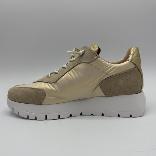 Beige sneaker with gold accents on a gray background
