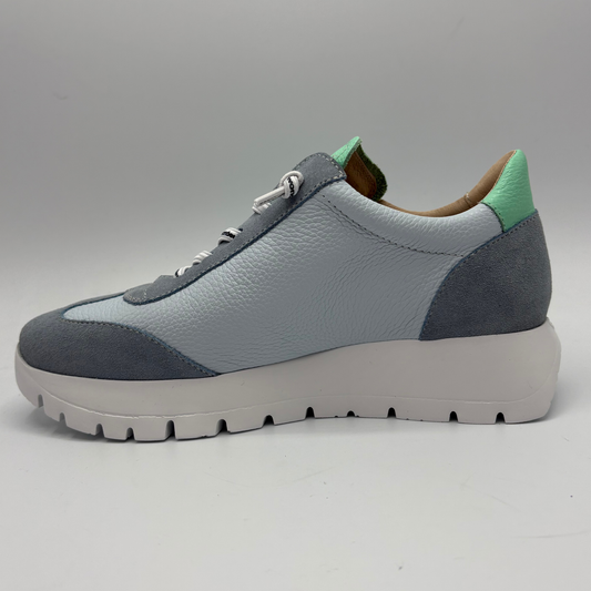 Gray and blue sneaker with green accents on a gray background