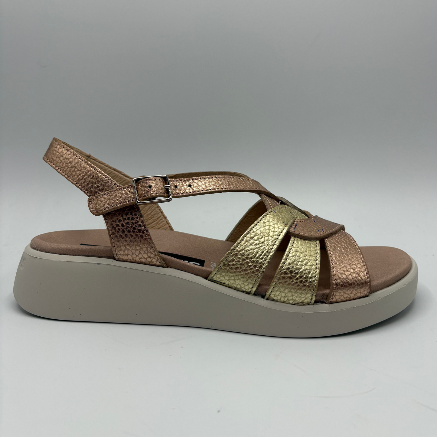 Gold and brown sandal on a gray background