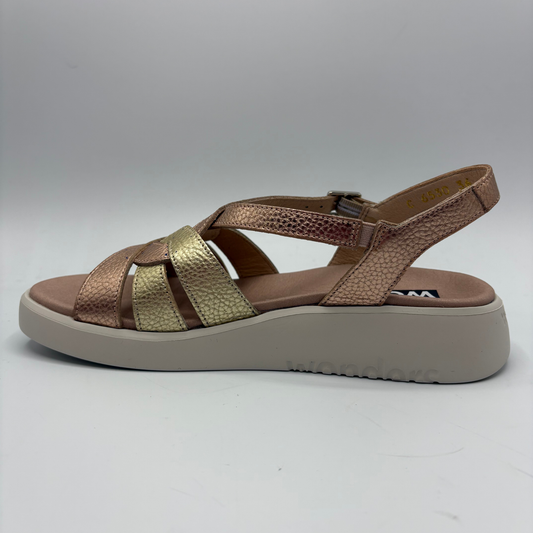 Brown sandal with gold accents on a gray background