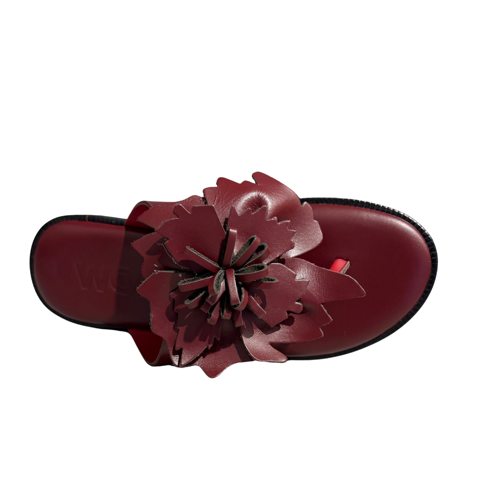 Bordo andal with a large flower detail on a white background