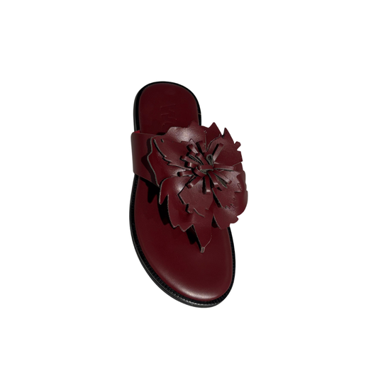 Bordo sandal on a white background