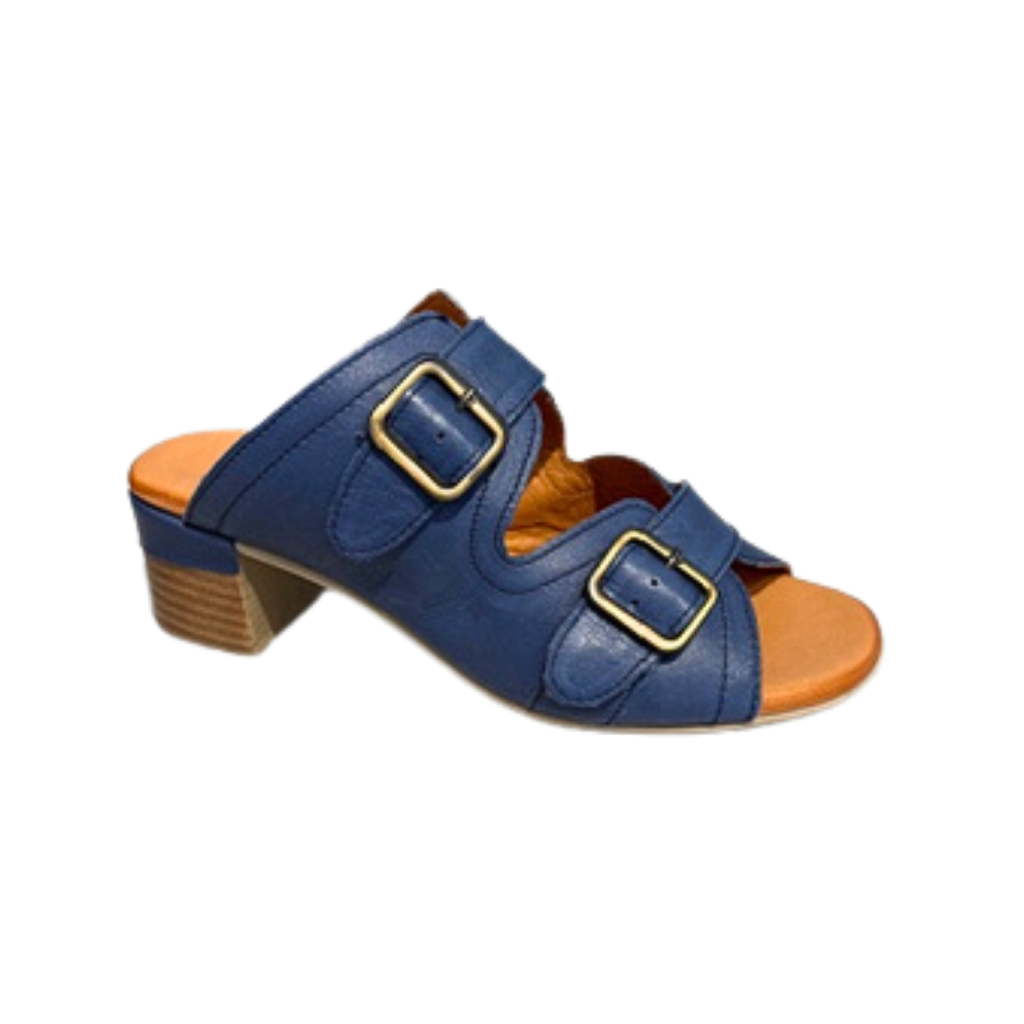 Blue sandal with gold buckles on a white background