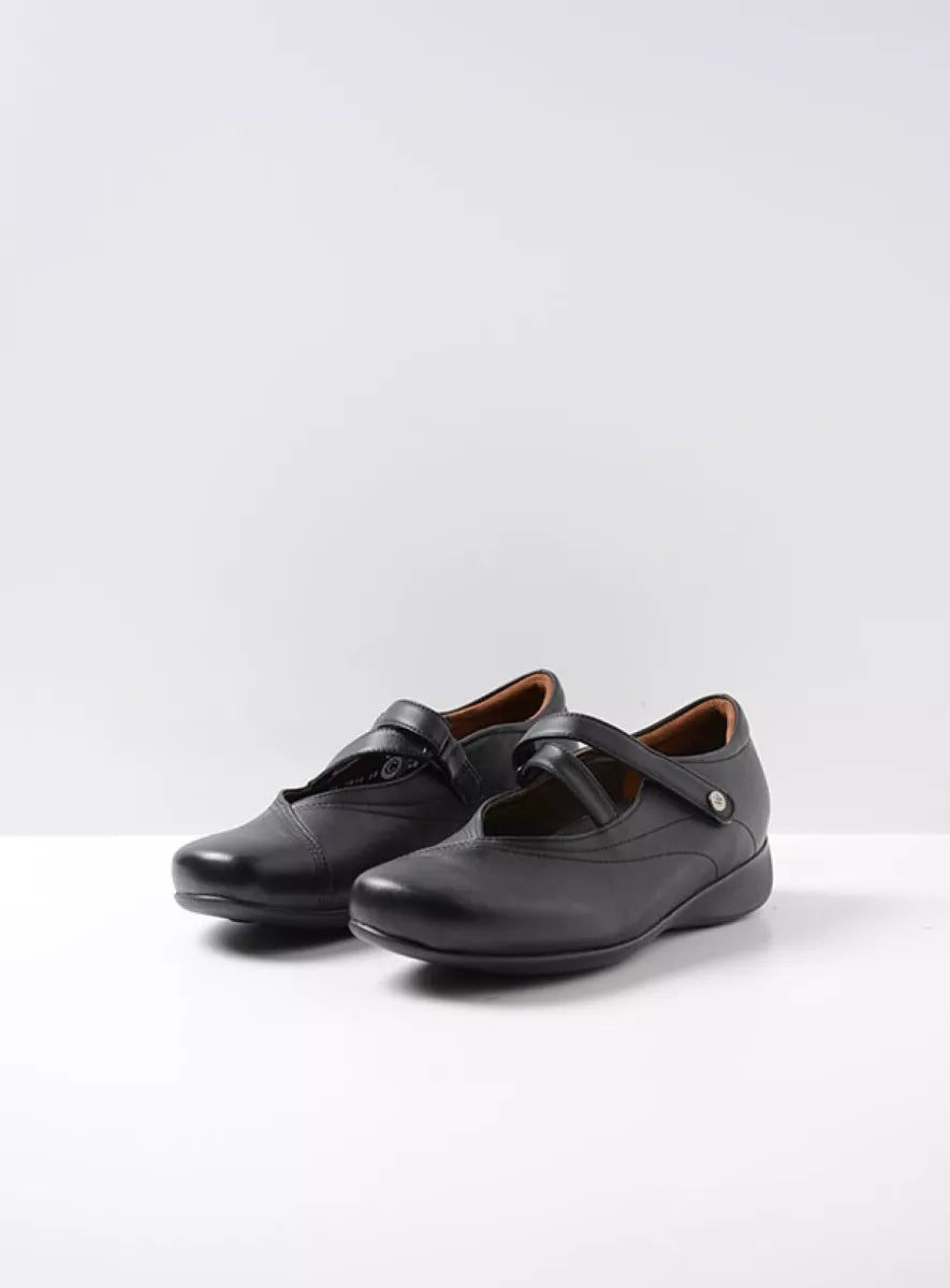 Pair of black shoes with a strap on a white background