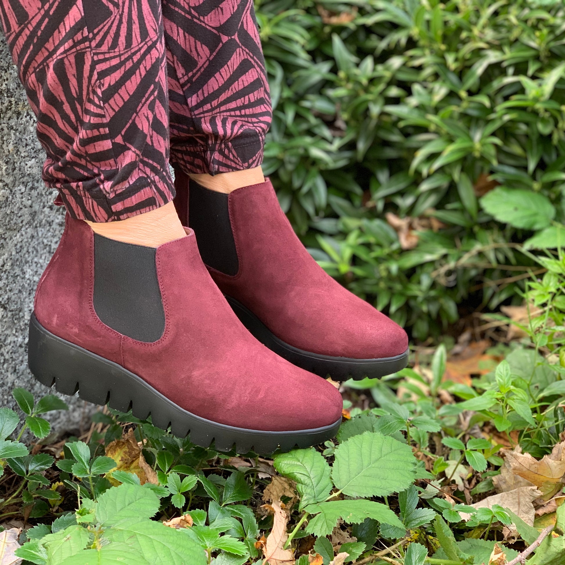 A close up of a persons feet wearing a dark wine coloured boot. The boots have an elastic side panel and black wedge heel.  